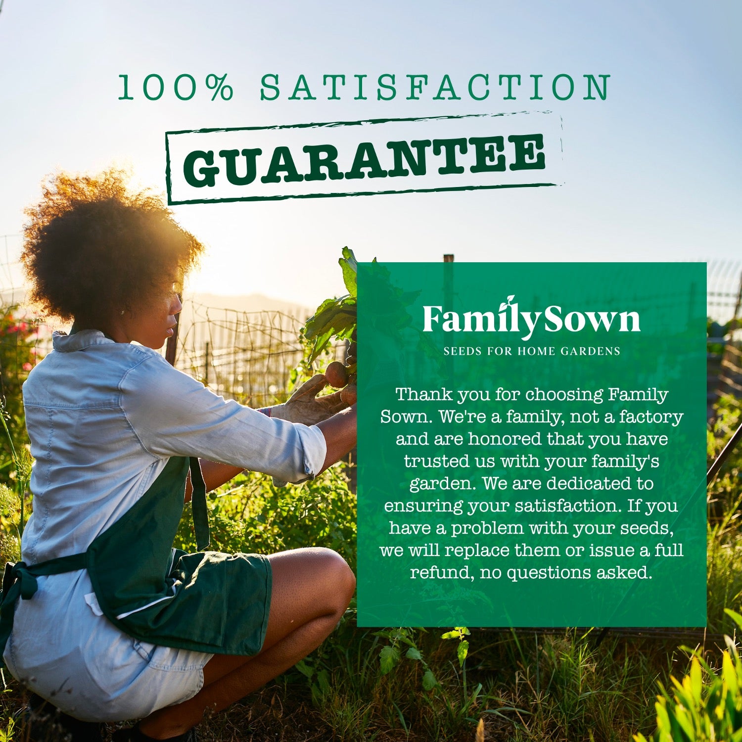 Ultimate Survival Food Seeds 55; Herb and Vegetable Seed Collection