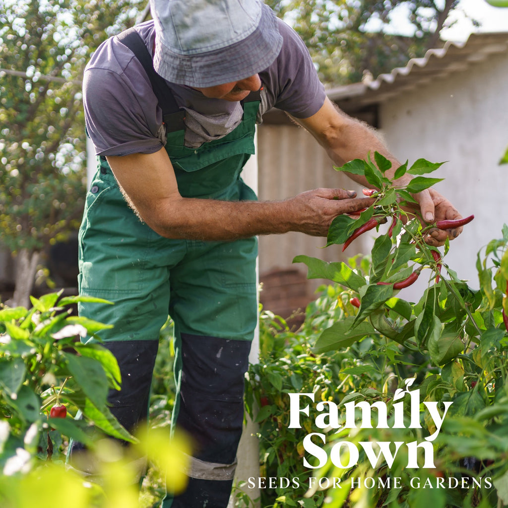 Heirloom Pepper 9: Heirloom Pepper Seeds