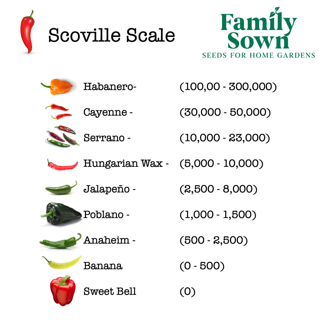 Heirloom Pepper 9: Heirloom Pepper Seeds