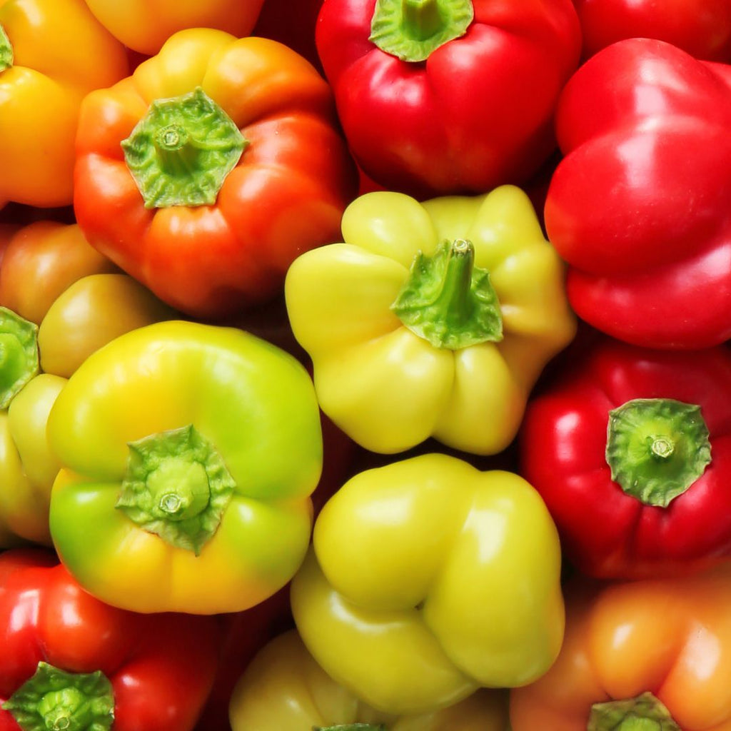 Heirloom Pepper 9: Heirloom Pepper Seeds