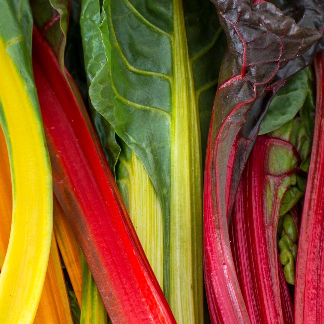 Exotic 5 Vegetable Seed Kit