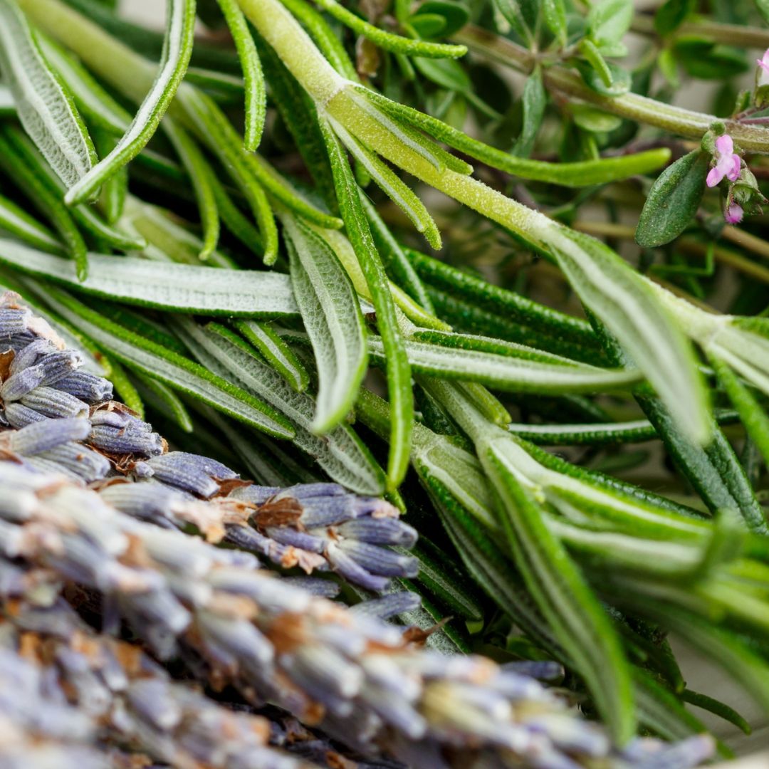 Indoor Herb Garden Growing Kit