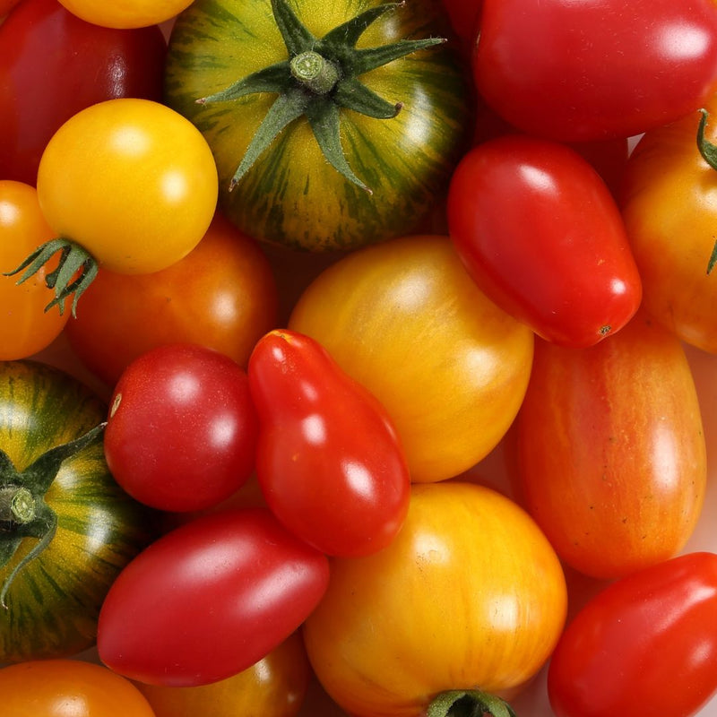 10 Heirloom Tomatoes