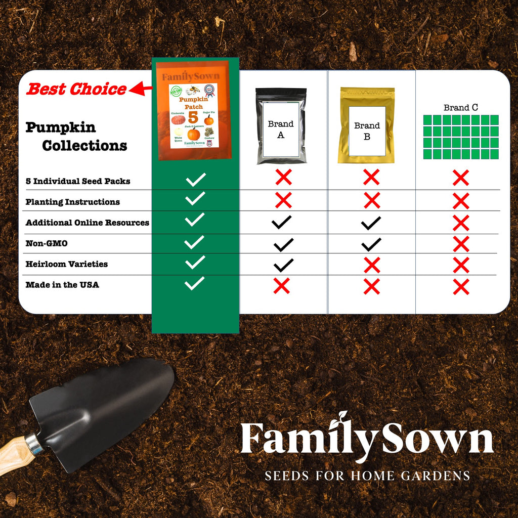 Pumpkin Patch; 5 pumpkin seed packs