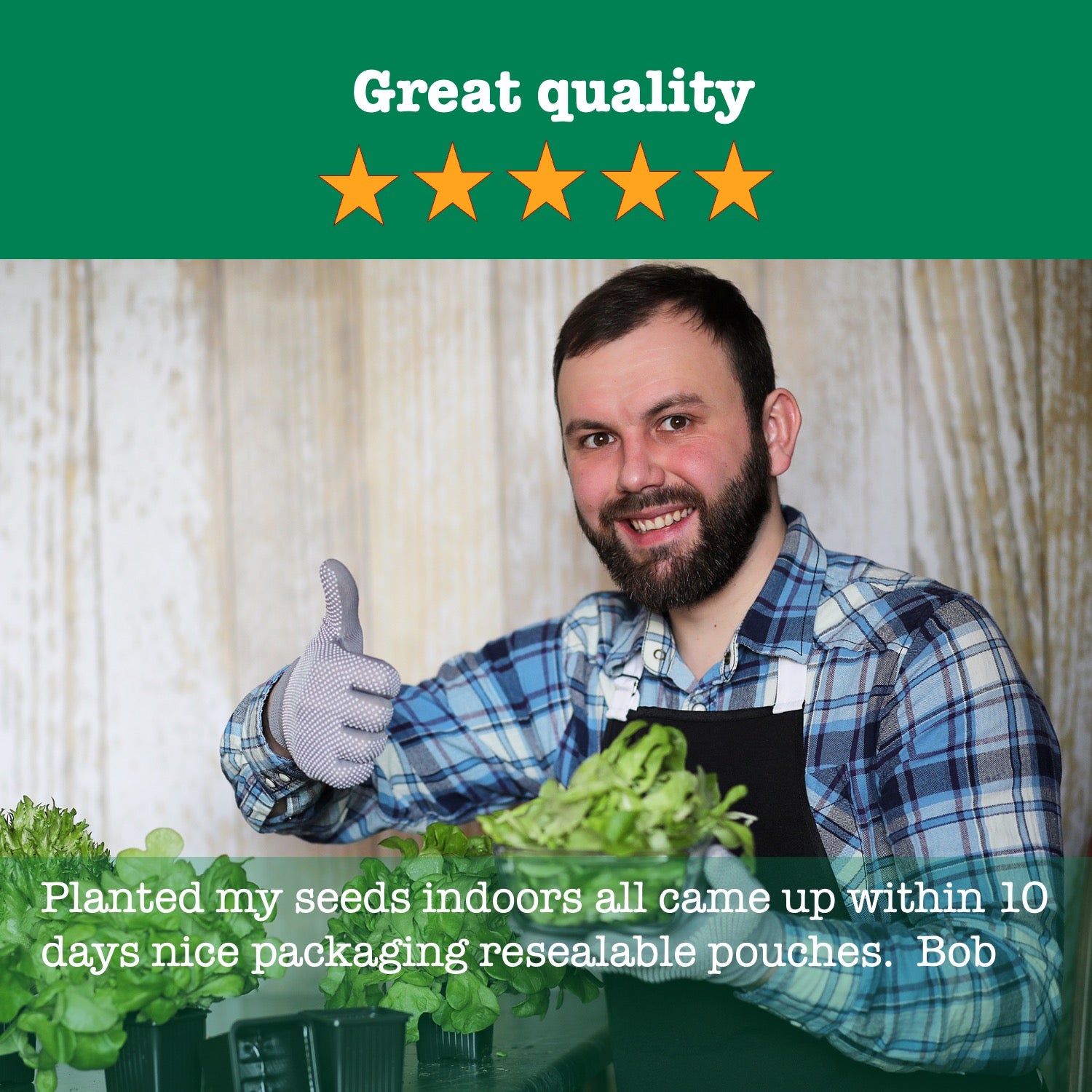 Essential 20 Vegetable Seeds