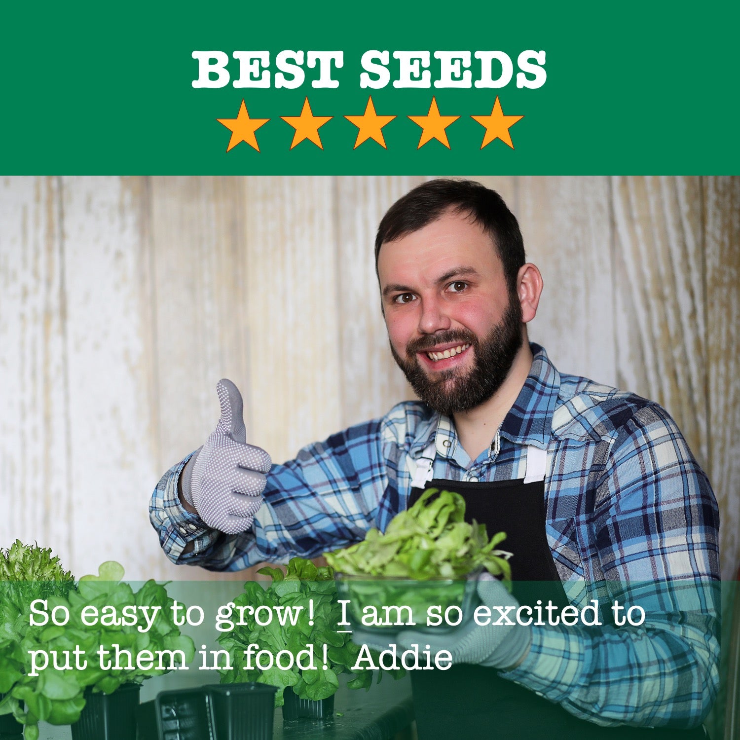 Herb Garden 10; Culinary Herb Seeds