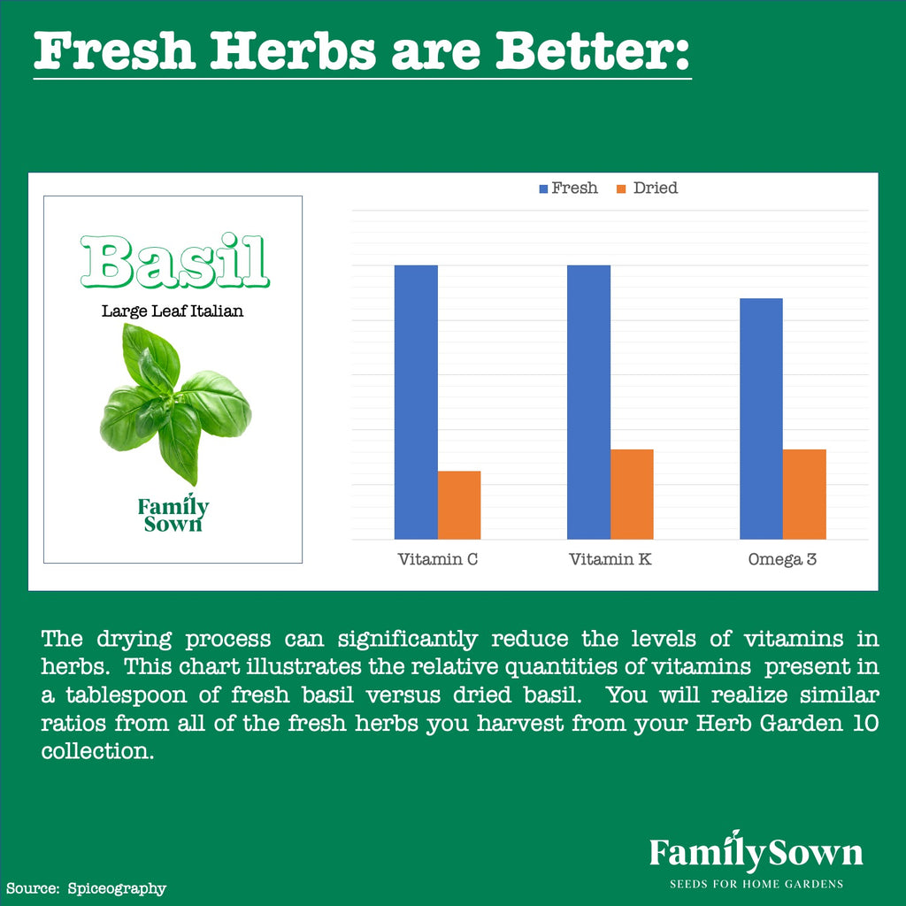 Herb Garden 10; Culinary Herb Seeds