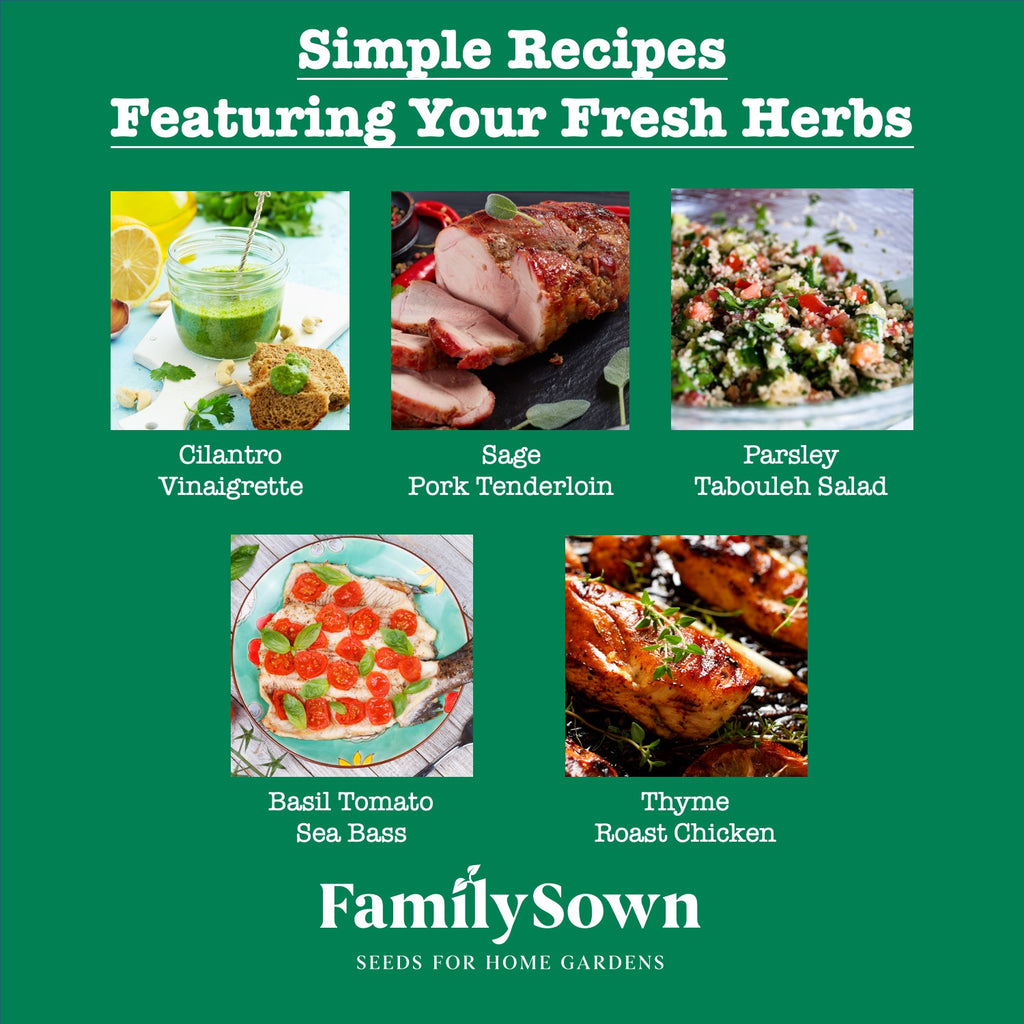 Indoor Herb Garden Growing Kit