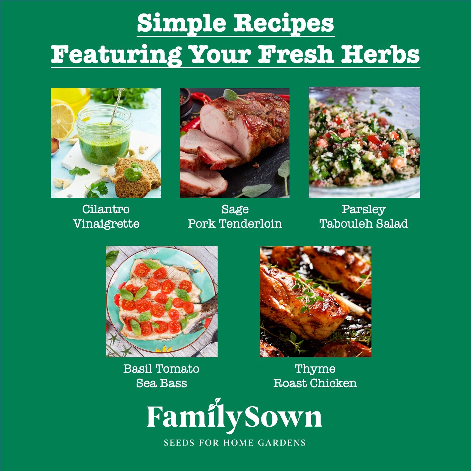 Indoor Herb Garden Growing Kit