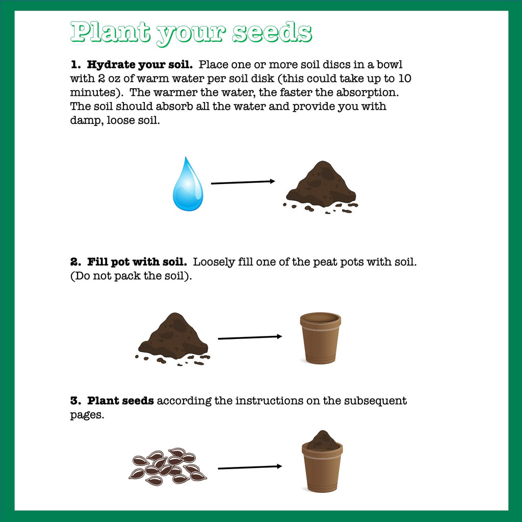 Exotic 5 Vegetable Seed Kit