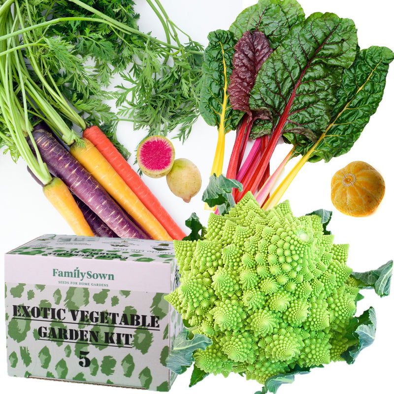Exotic 5 Vegetable Seed Kit