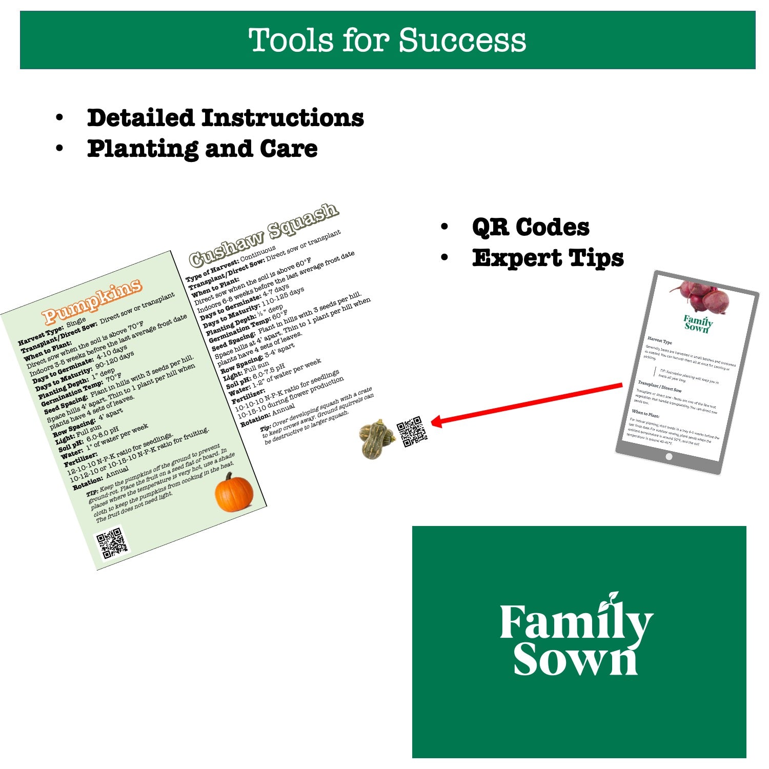 Pumpkin Patch; 5 pumpkin seed packs