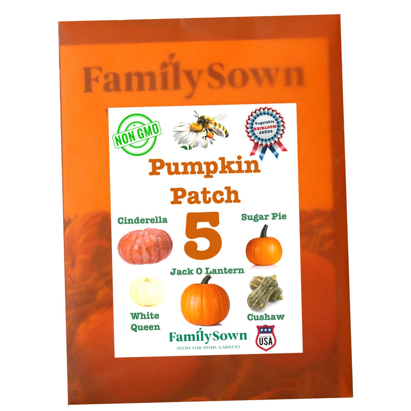 Pumpkin Patch; 5 pumpkin seed packs