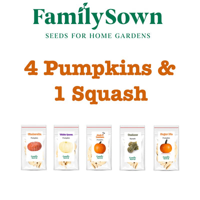 Pumpkin Patch; 5 pumpkin seed packs
